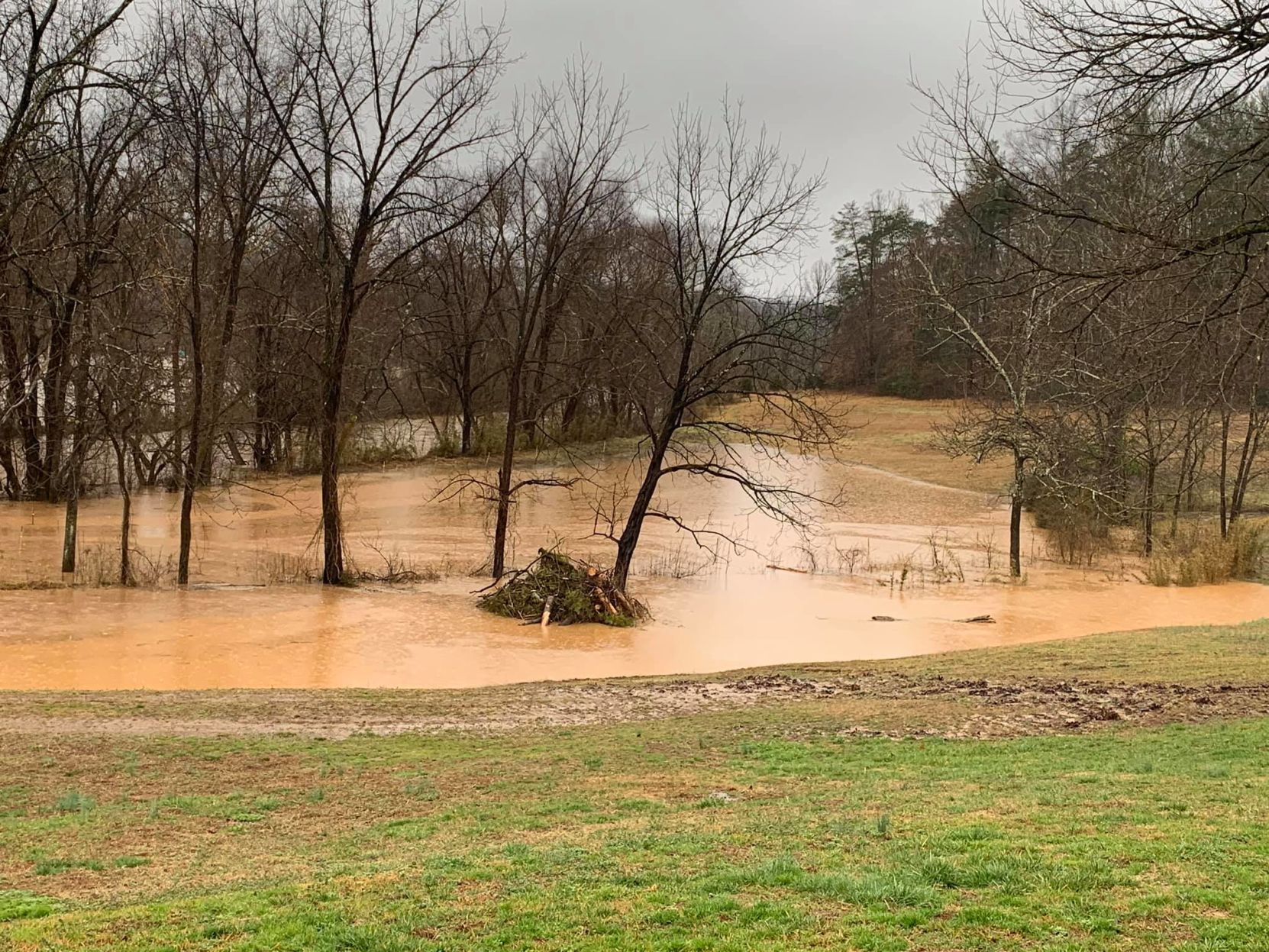 Muddy Creek.jpg